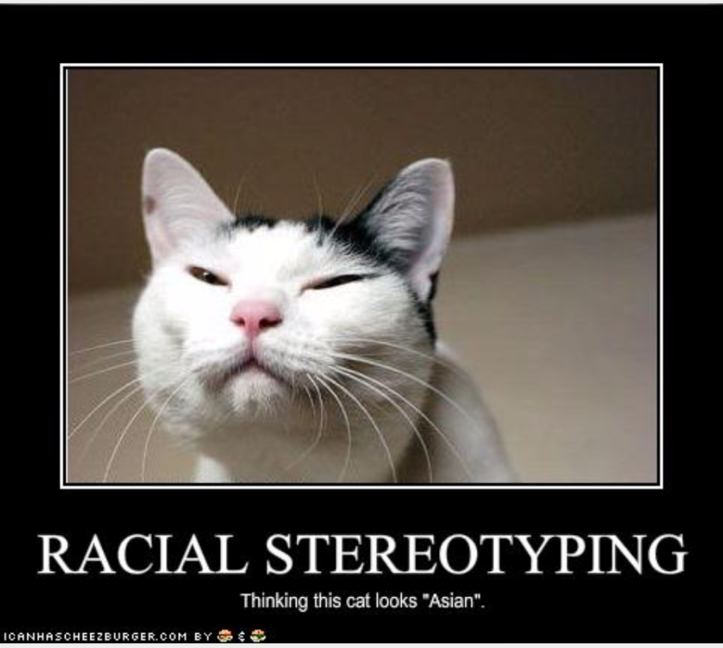 Even cats are subjected to stereotyping through this statement. Poor cat will have a complex. 